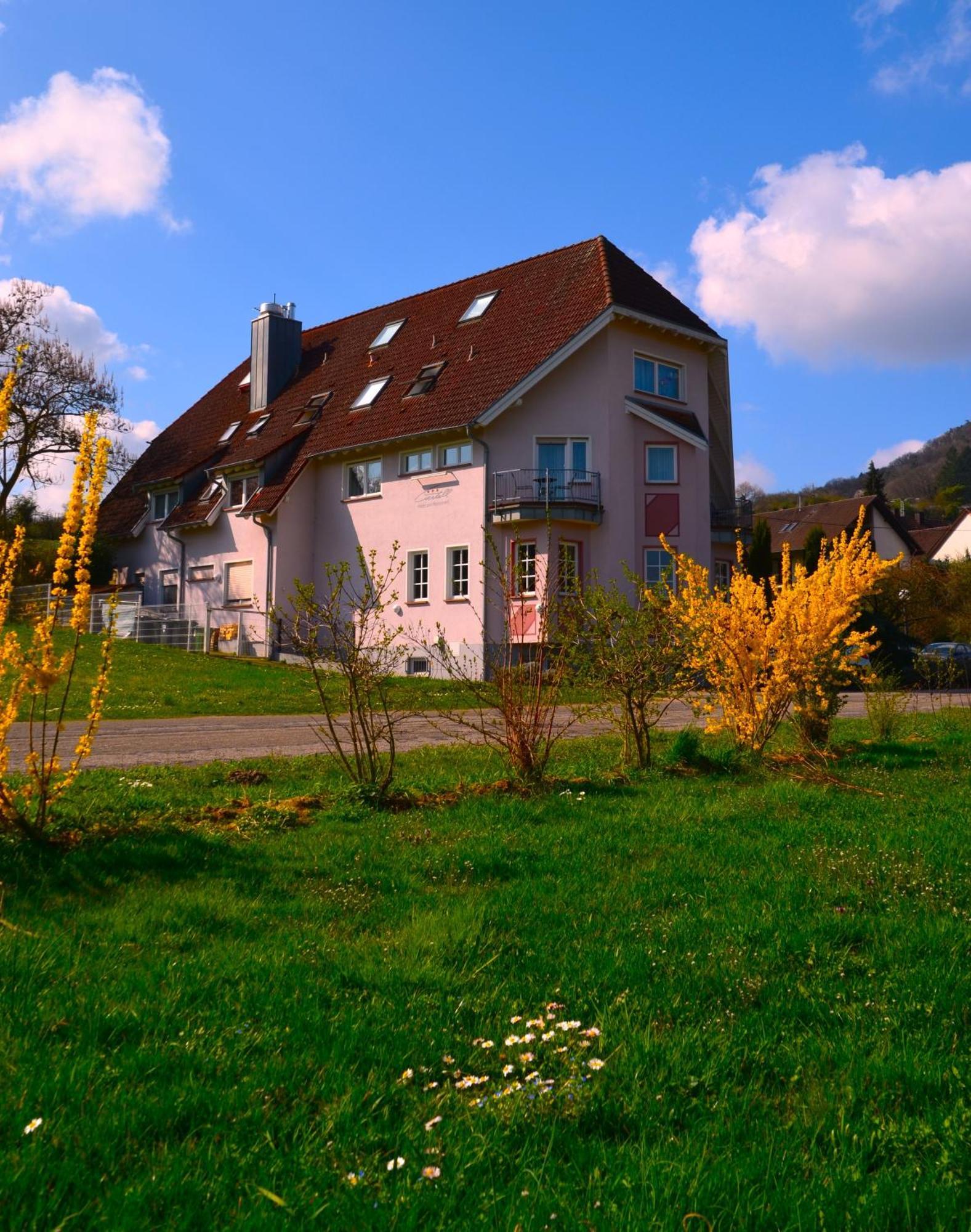 Castell Hotel & Restaurant Leinsweiler Buitenkant foto