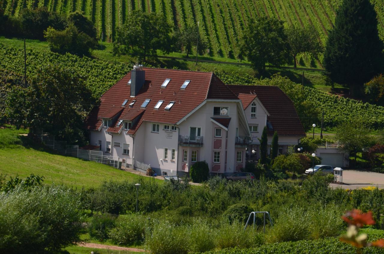 Castell Hotel & Restaurant Leinsweiler Buitenkant foto